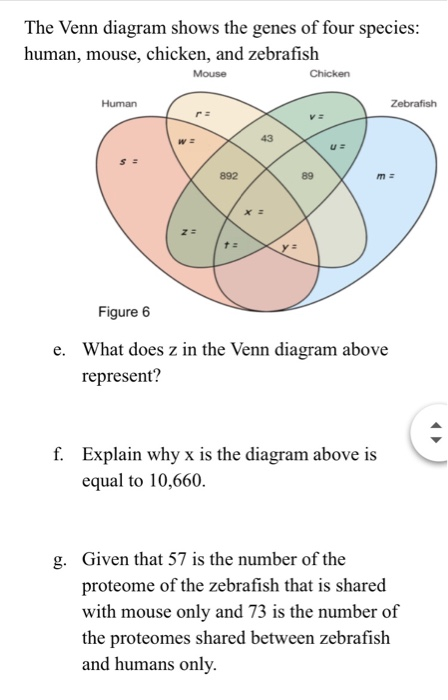 Solved The Venn diagram shows the genes of four species: | Chegg.com