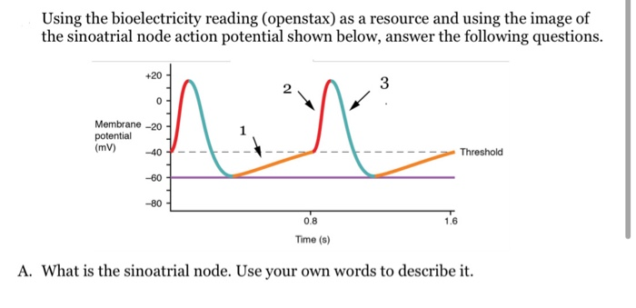 Solved Using the bioelectricity reading (openstax) as a | Chegg.com