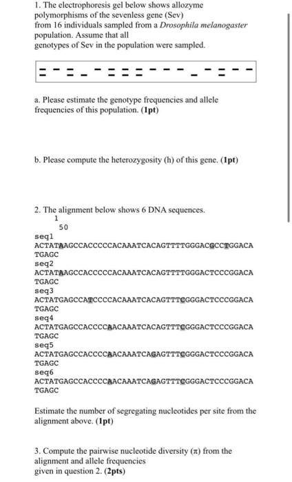 Solved 1. The electrophoresis gel below shows allozyme | Chegg.com