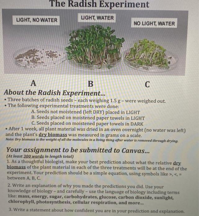 the radish experiment explanation