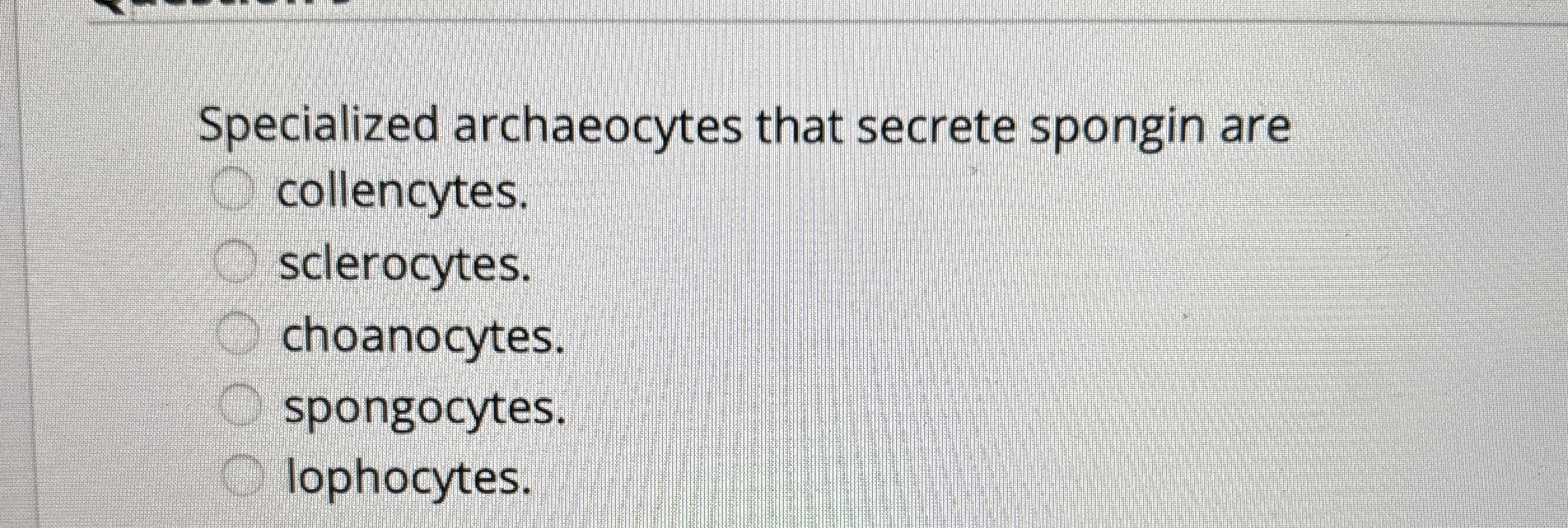 Solved Specialized archaeocytes that secrete spongin | Chegg.com