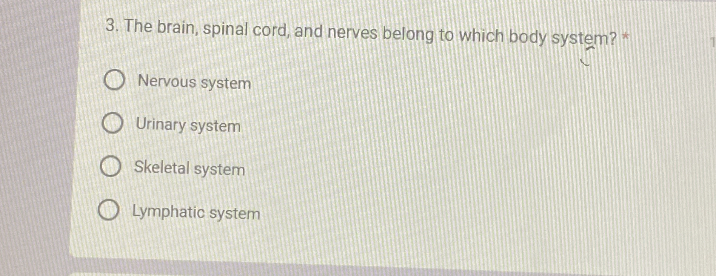 Solved The brain, spinal cord, and nerves belong to which