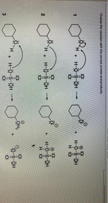 Solved Choose The Reaction With The Correct Arrows And Pr Chegg Com