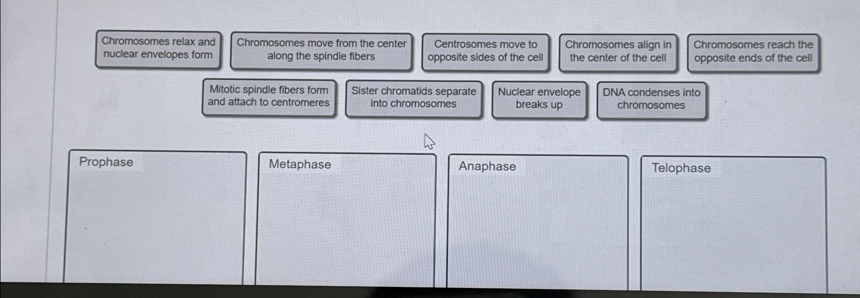 the chromosomes decondense and two new nuclear envelopes form