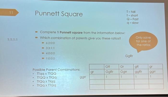 Solved Complete 1 Punnett square from the information below: | Chegg.com
