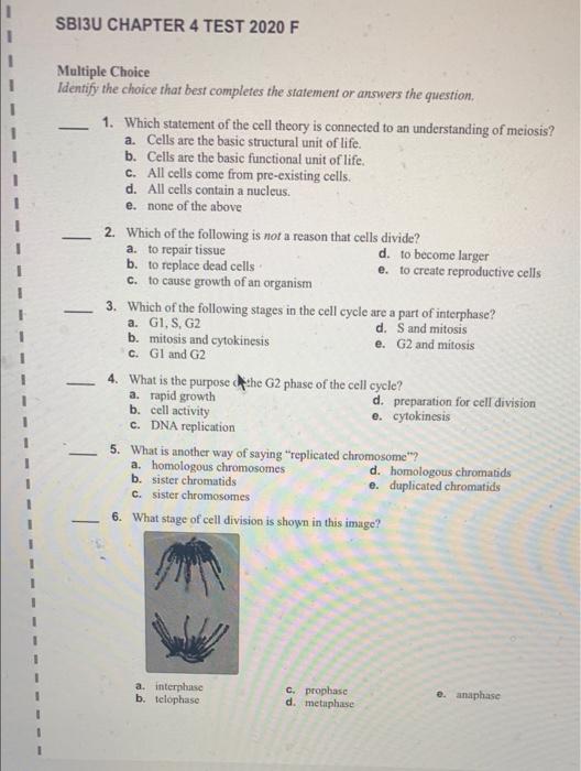 Solved SB13U CHAPTER 4 TEST 2020 F Multiple Choice Identify | Chegg.com