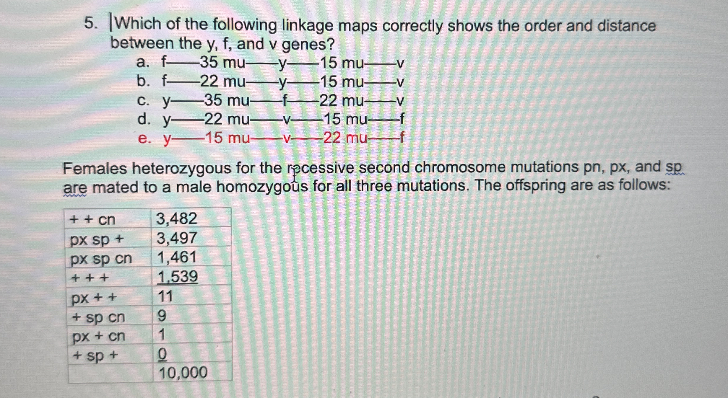 Solved Which of the following linkage maps correctly shows | Chegg.com