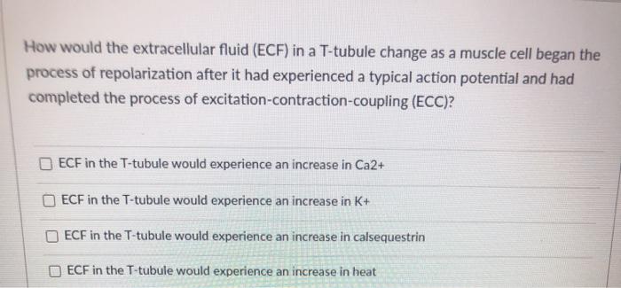 Solved Which Of The Following Statements Accurately | Chegg.com