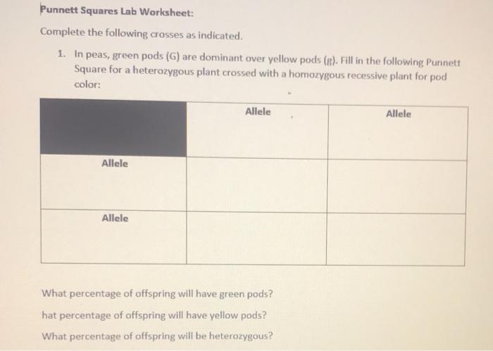 Solved Punnett Squares Lab Worksheet: Complete the following | Chegg.com