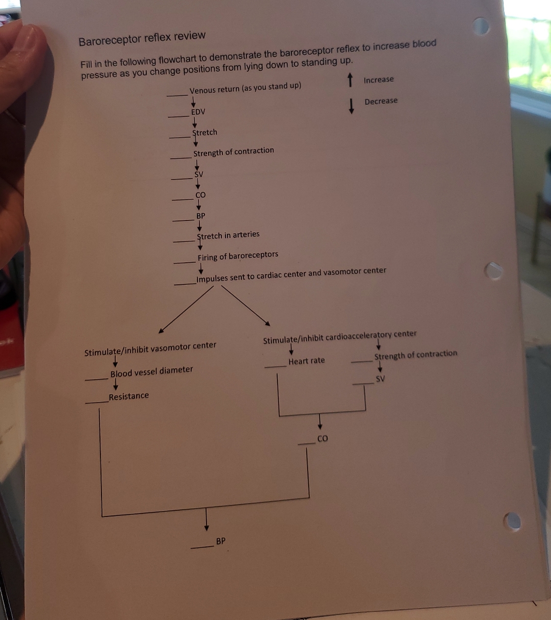 Solved Baroreceptor reflex reviewFill in the following | Chegg.com