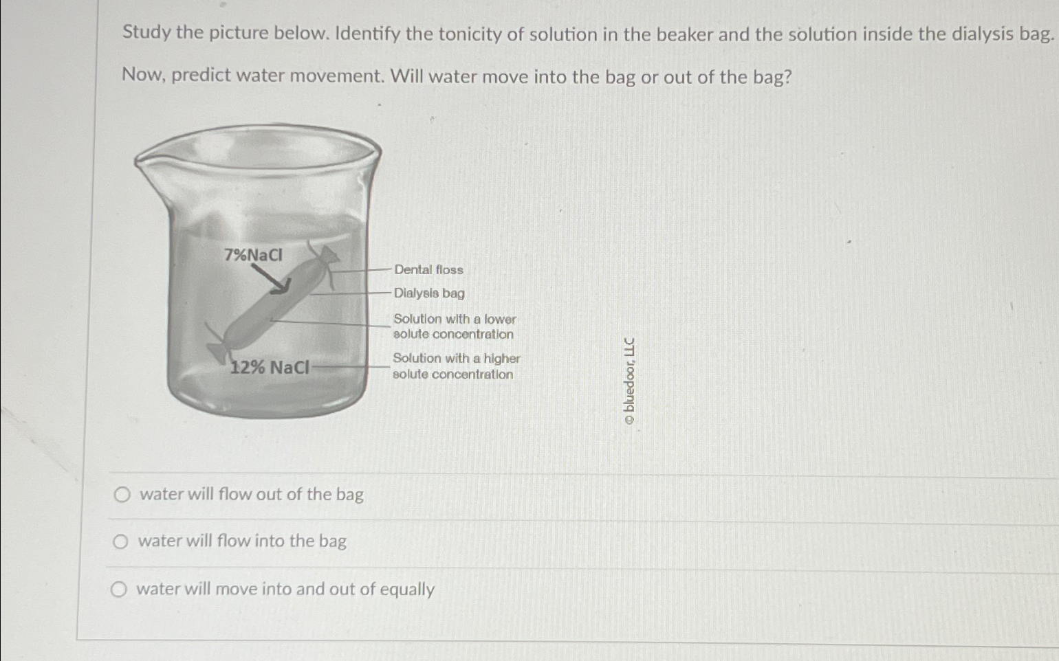 Solved Study The Picture Below. Identify The Tonicity Of | Chegg.com