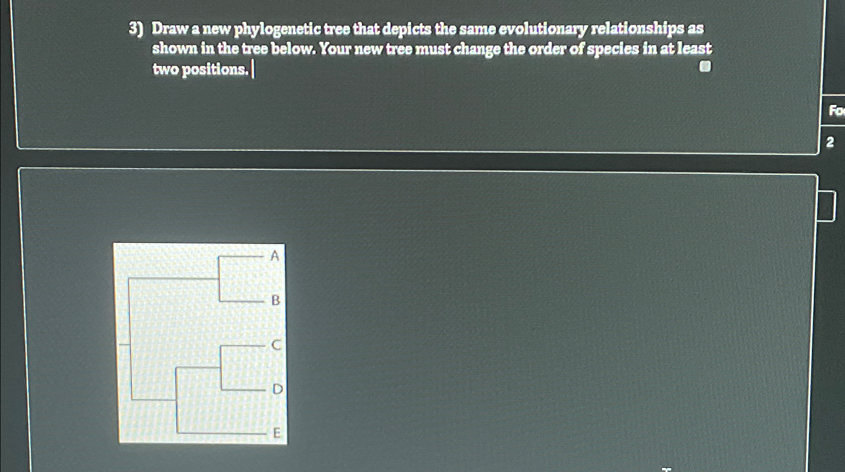 Solved Draw a new phylogenetic tree that depicts the same | Chegg.com