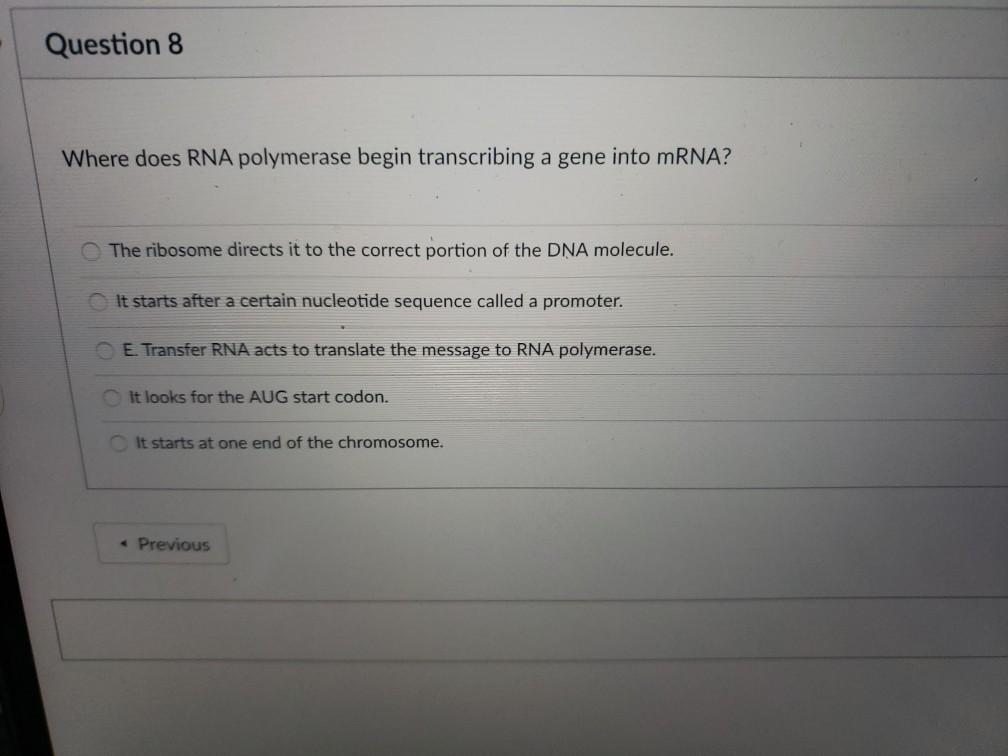 Solved Question 8 Where Does Rna Polymerase Begin | Chegg.com
