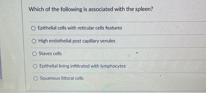 Solved Which of the following is associated with tonsils? | Chegg.com