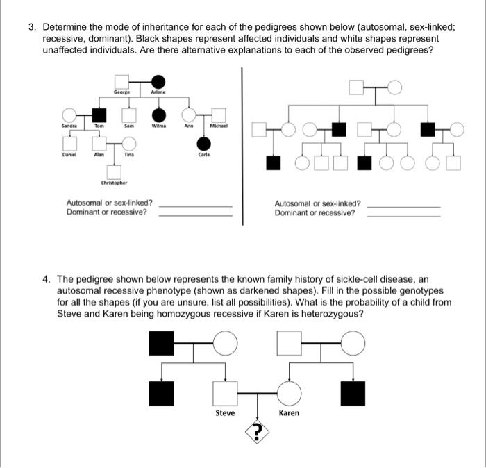 A pedigree tree is a useful tool to use for looking | Chegg.com