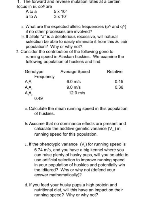 Solved 1. The forward and reverse mutation rates at a | Chegg.com