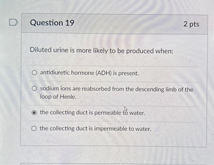 Solved Diluted urine is more likely to be produced when