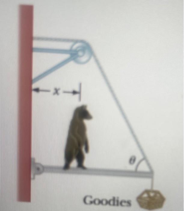Solved A hungry bear weighing 740 N walks out on a beam in | Chegg.com
