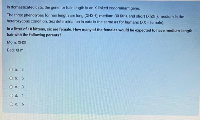 Solved In domesticated cats, the gene for hair length is an | Chegg.com