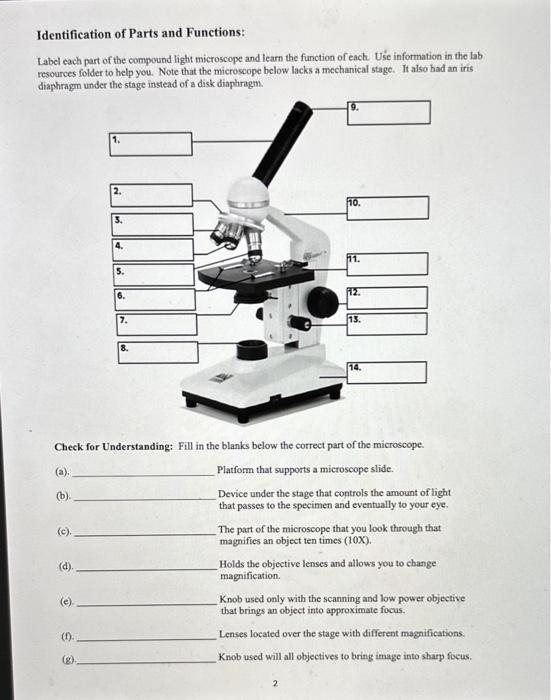 parts of a compound light microscope worksheet