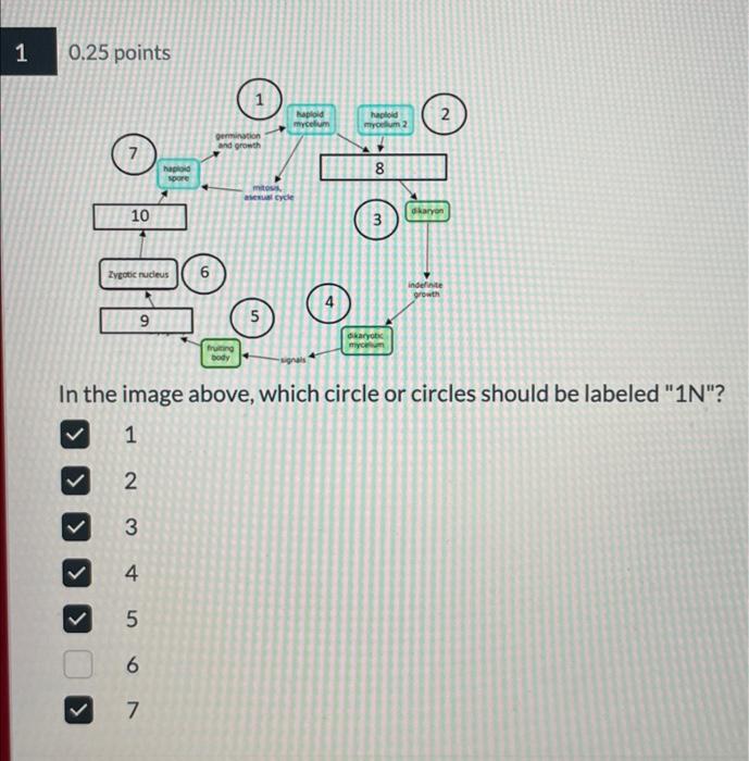 Solved In the image above, which circle or circles should be | Chegg.com