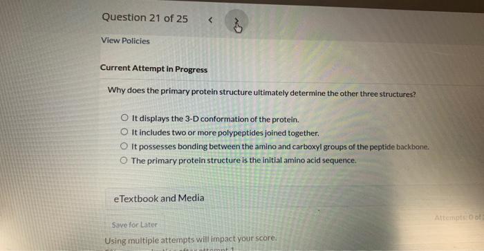 Solved Why does the primary protein structure ultimately | Chegg.com