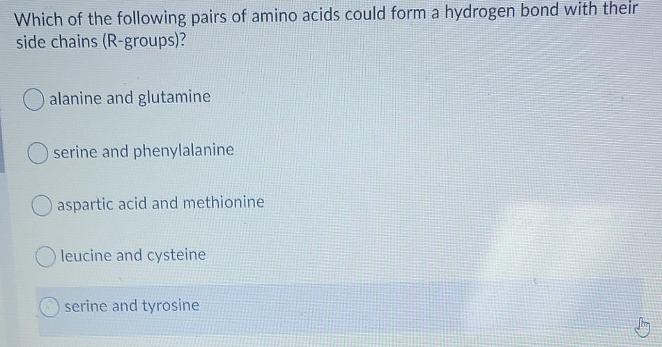 Solved Which of the following pairs of amino acids could | Chegg.com