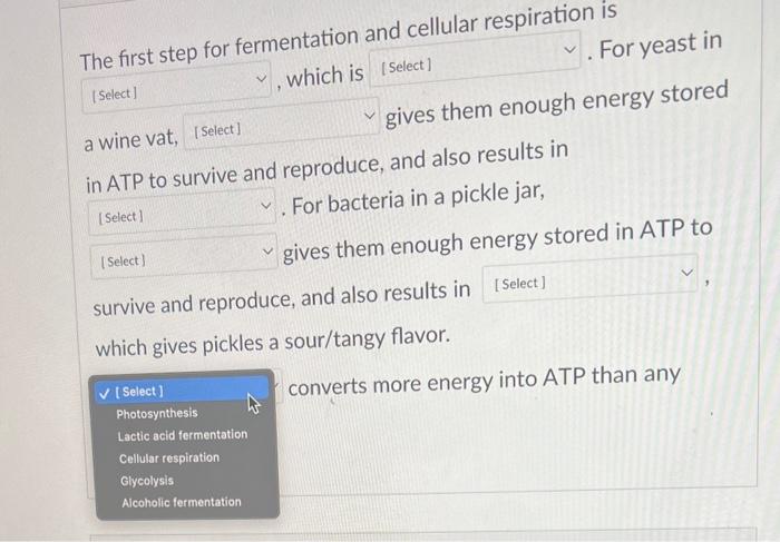 Thn firct step for fermentation and rollular respiration is , which is
For yeast in
gives them enough energy stored
a wine va
