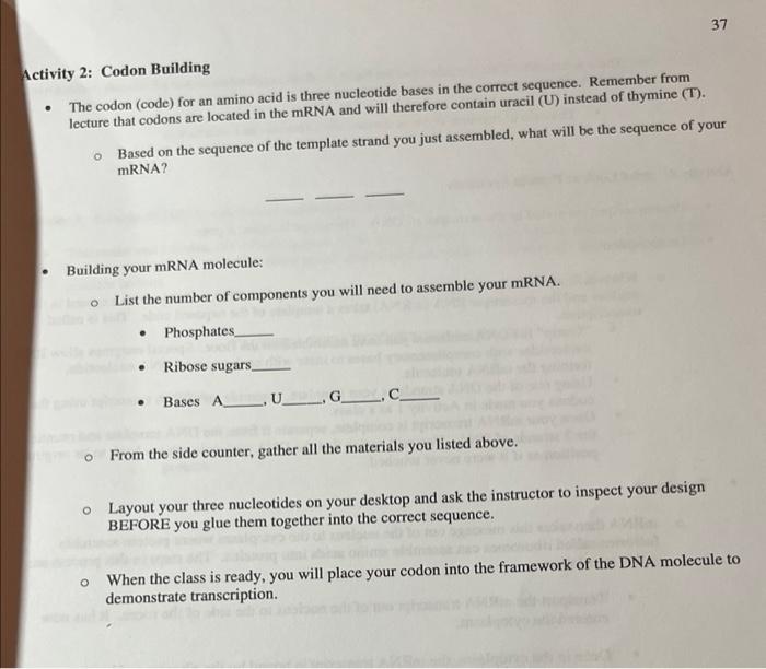 ivity 2: Codon Building The codon (code) for an amino | Chegg.com