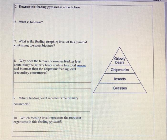 5 level food chain pyramid