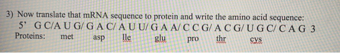 Solved 3) Now translate that mRNA sequence to protein and | Chegg.com