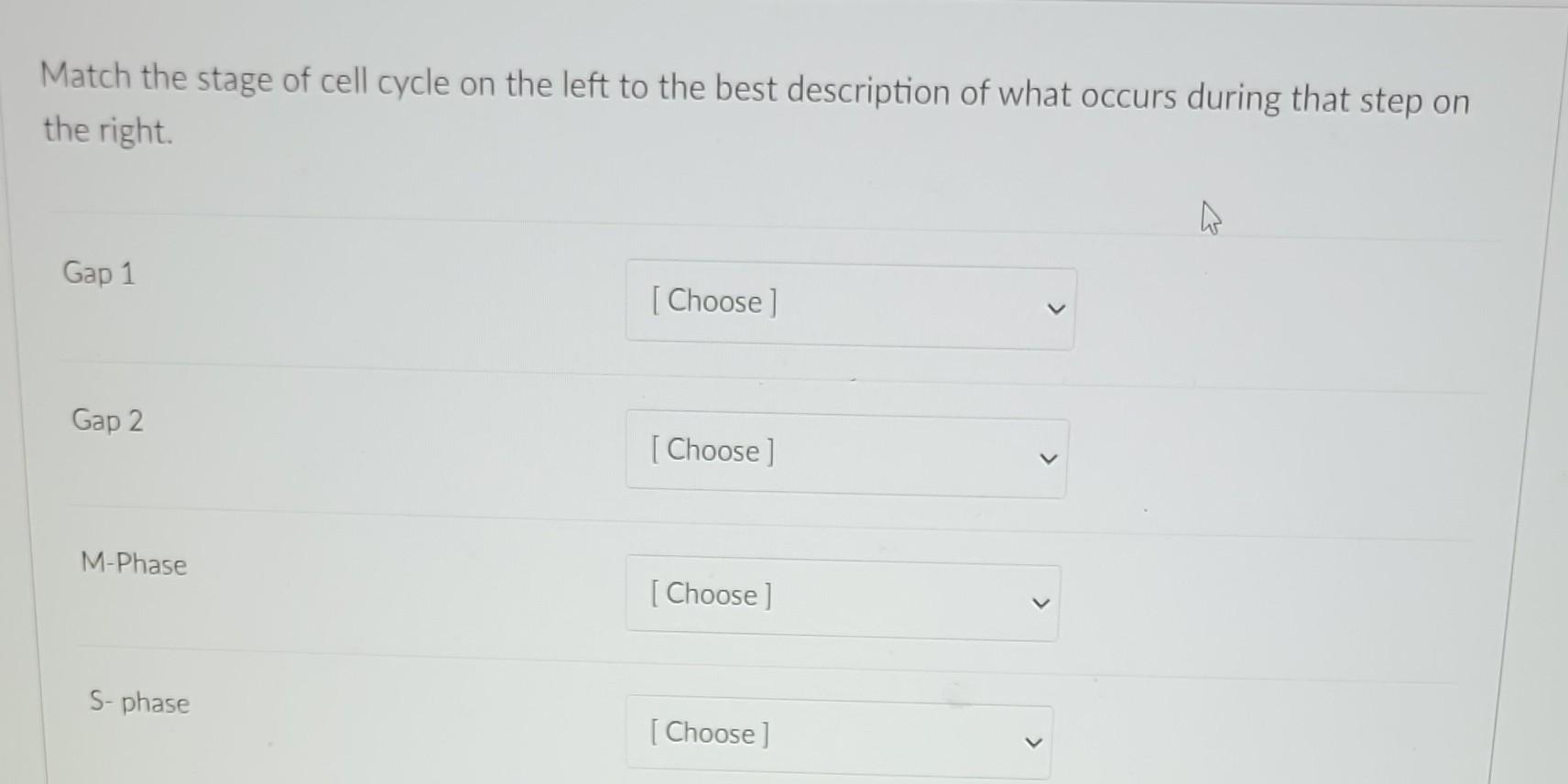 Solved Match the stage of cell cycle on the left to the best | Chegg.com