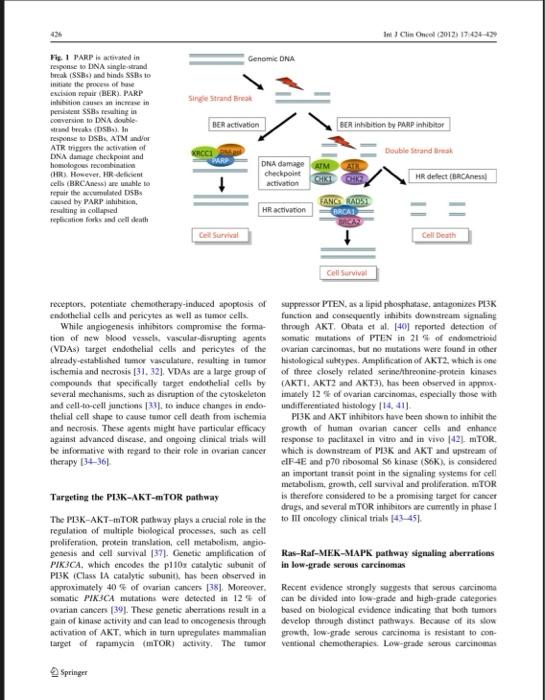 Solved 1.Discuss The Major Molecular Signaling Pathways | Chegg.com