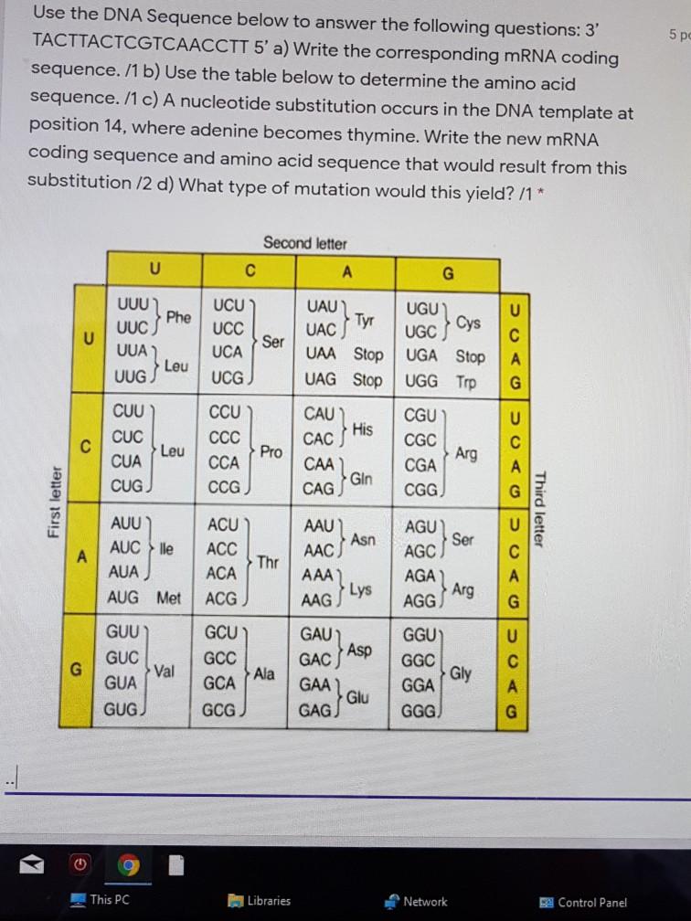 Solved 5 pc Use the DNA Sequence below to answer the | Chegg.com