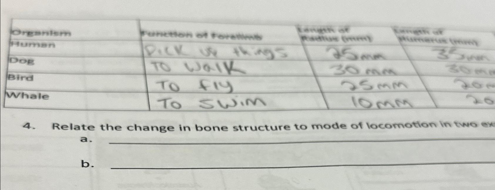 Solved Relate the change in bone structure to mode of