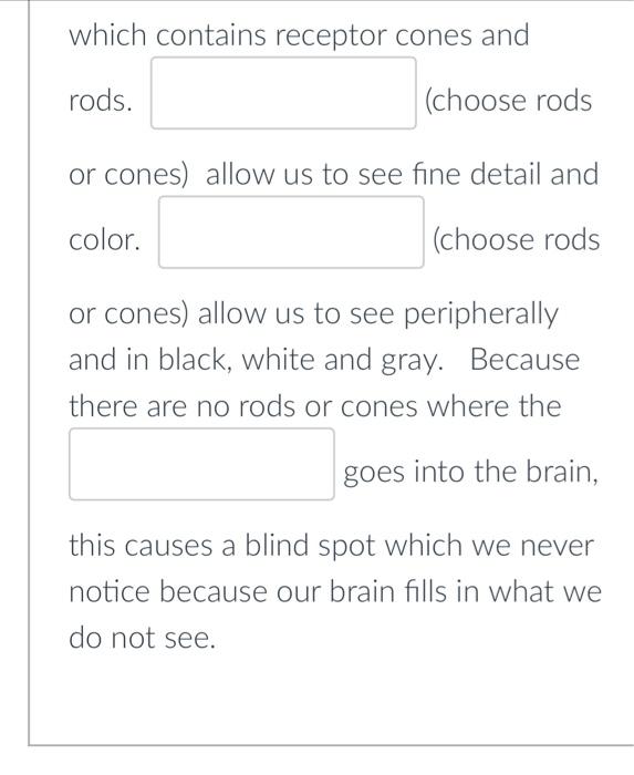 Solved which contains receptor cones and rods. (choose rods