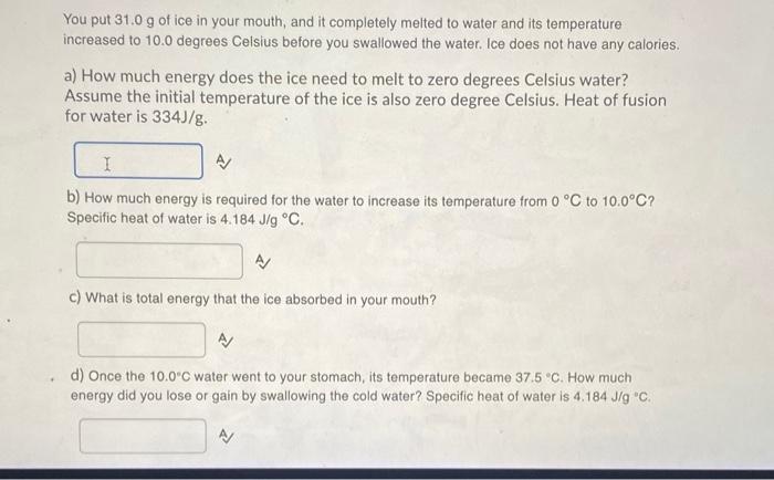 Solved You put 31.0 g of ice in your mouth, and it | Chegg.com