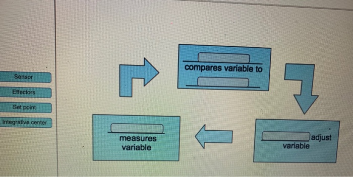 Solved compares variable to Sensor Effectors Set point | Chegg.com