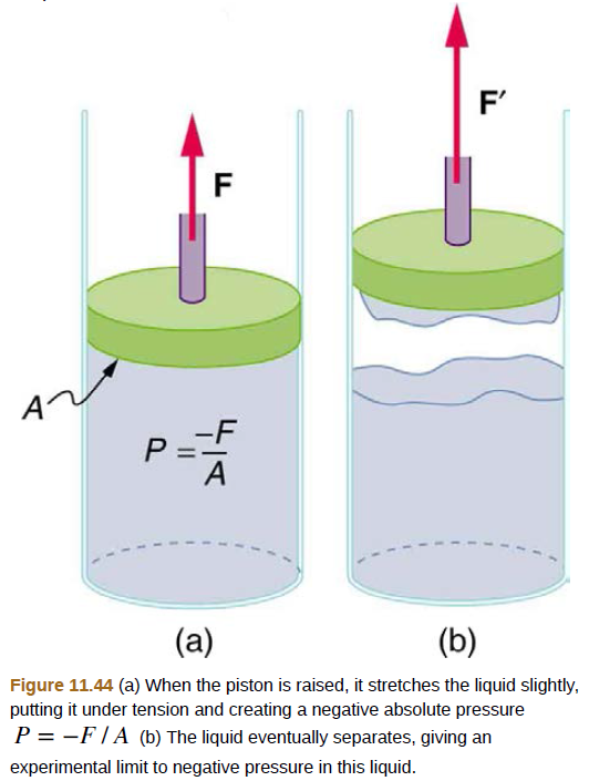 Solved: A negative pressure of 25.0 atm can sometimes be achieved ...