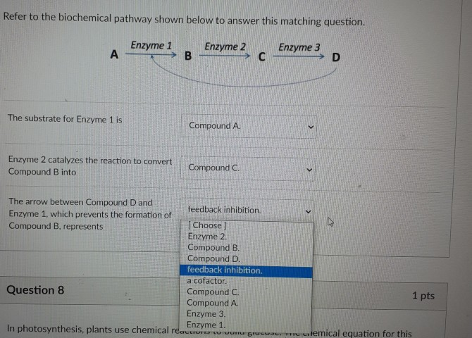 Solved Refer To The Biochemical Pathway Shown Below To | Chegg.com