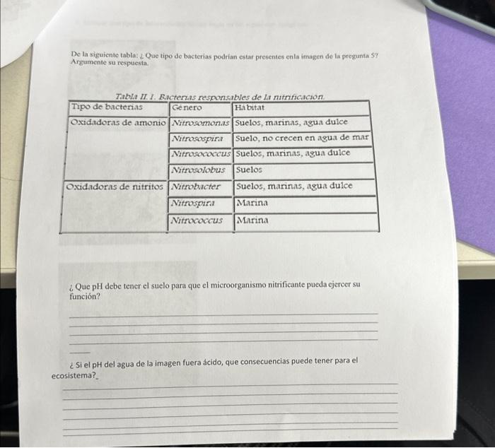 De la siguiente tabla: 6 Que tipo de bacterias podrian estar presentes enla imagen de la pregunta \( 5 ? \) Argumente su resp