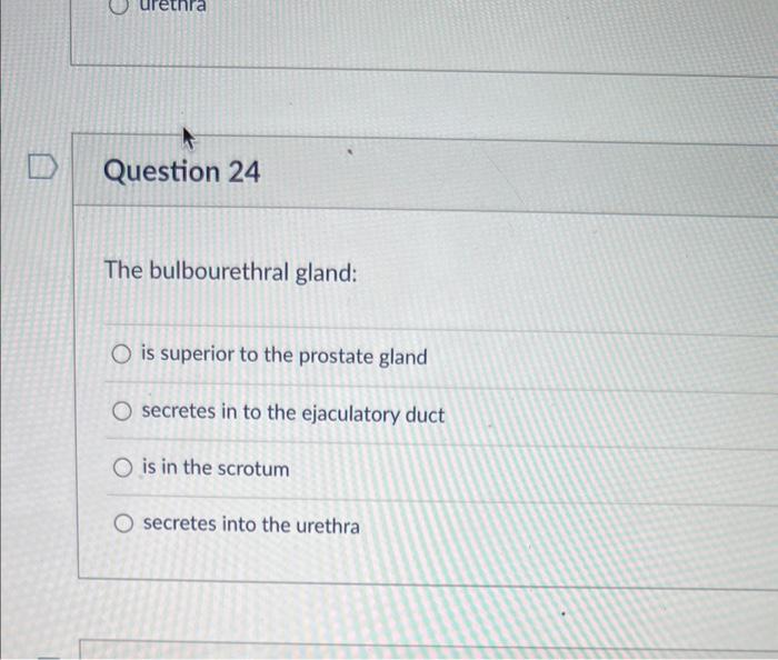 Solved Question 24 The bulbourethral gland is superior to