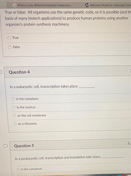 Solved What is a key difference between eukaryotic and | Chegg.com