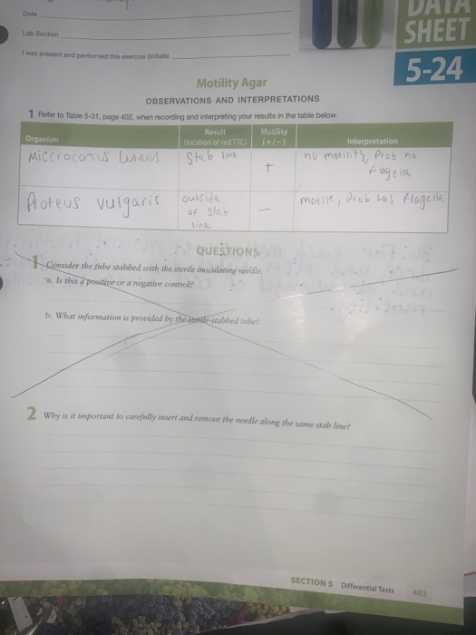 Solved Lab Section Data Sheet 5 24 I Was Present And Perf