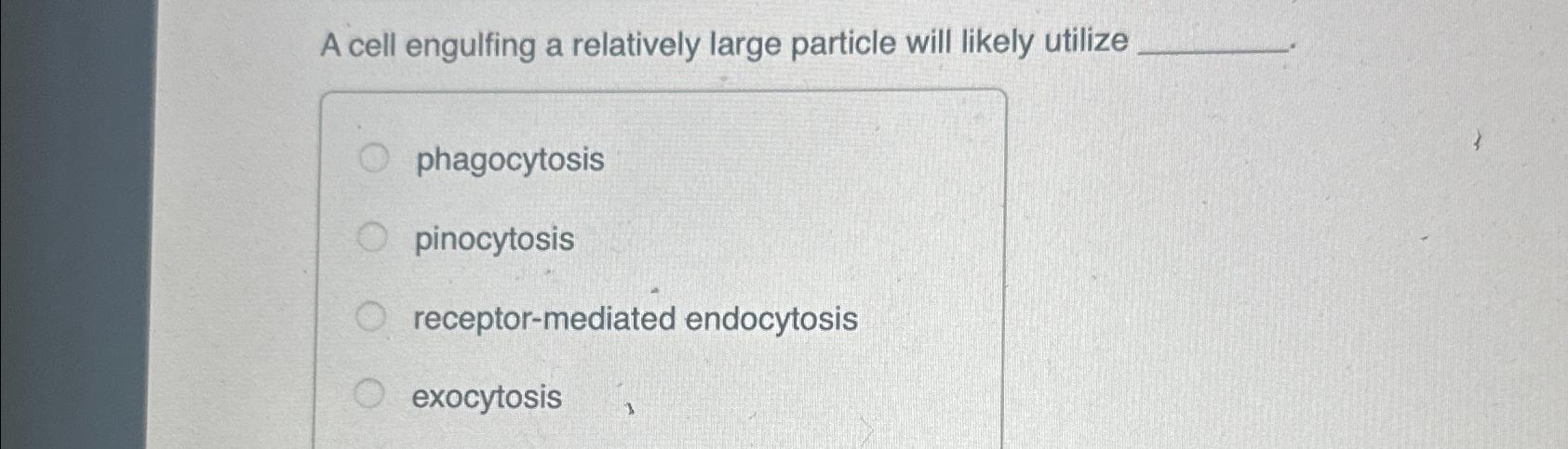 Solved A cell engulfing a relatively large particle will | Chegg.com