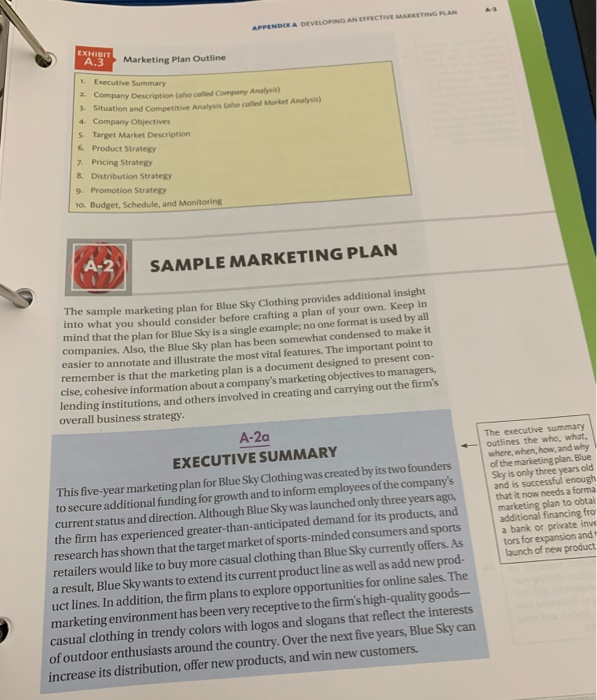 Solved You are to work as a team to develop a Marketing Plan | Chegg.com