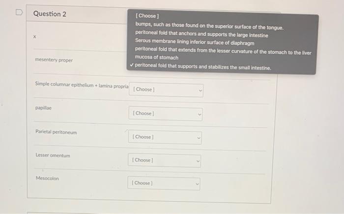Solved Question 1 1 pts Match each numbered item with the | Chegg.com