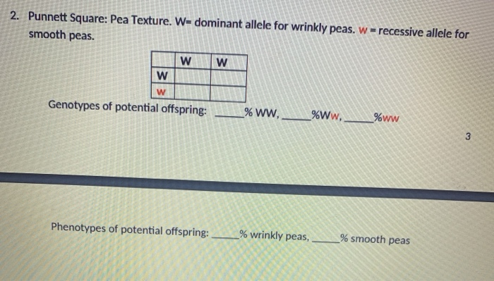 Solved Exercise 2: Punnett Squares Complete each of the | Chegg.com