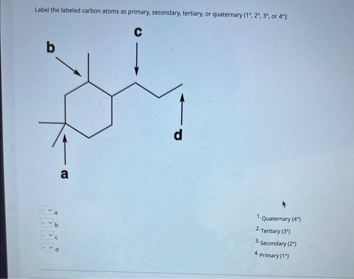 Solved Label the labeled carbon atoms as primary, secondary, | Chegg.com