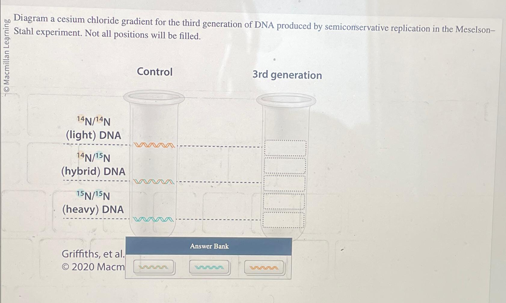 Solved Diagram a cesium chloride gradient for the third